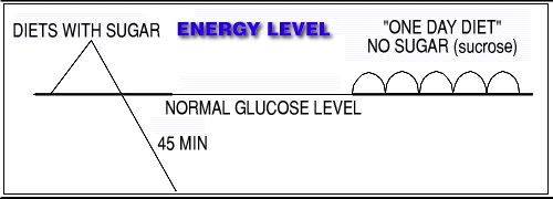 One Day Diet Wafers help keep your blood sugar levels at or above normal.