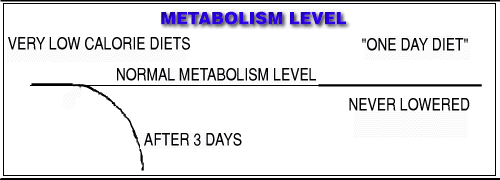 One Day Diet Wafers will not lower your metabolism.